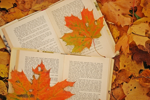 photo-autumn-leaves-maple-books-Favim.com-486374.jpg